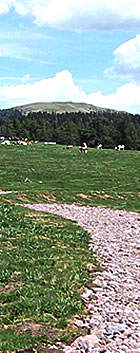 Rittner Horn Rittner Horn