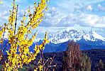 Ostern S�dtirol