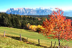 Literatur S&uuml;dtirol