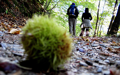 Dolomites hiking tips