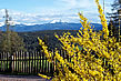 fruehling-suedtirol.jpg